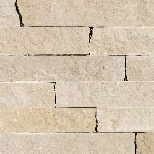 Nadia Neo Ledge: Split profile image