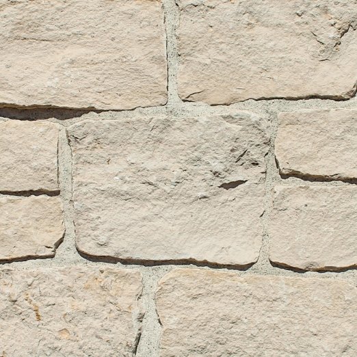 Camilla Recs thin veneer profile image